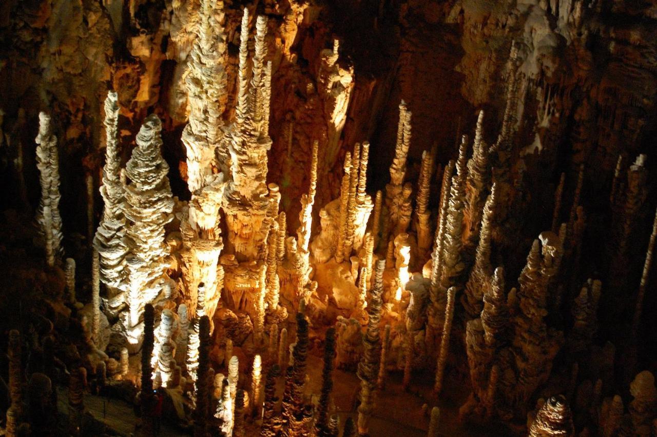 Отель Domaine Aigoual Cevennes Мейрей Экстерьер фото